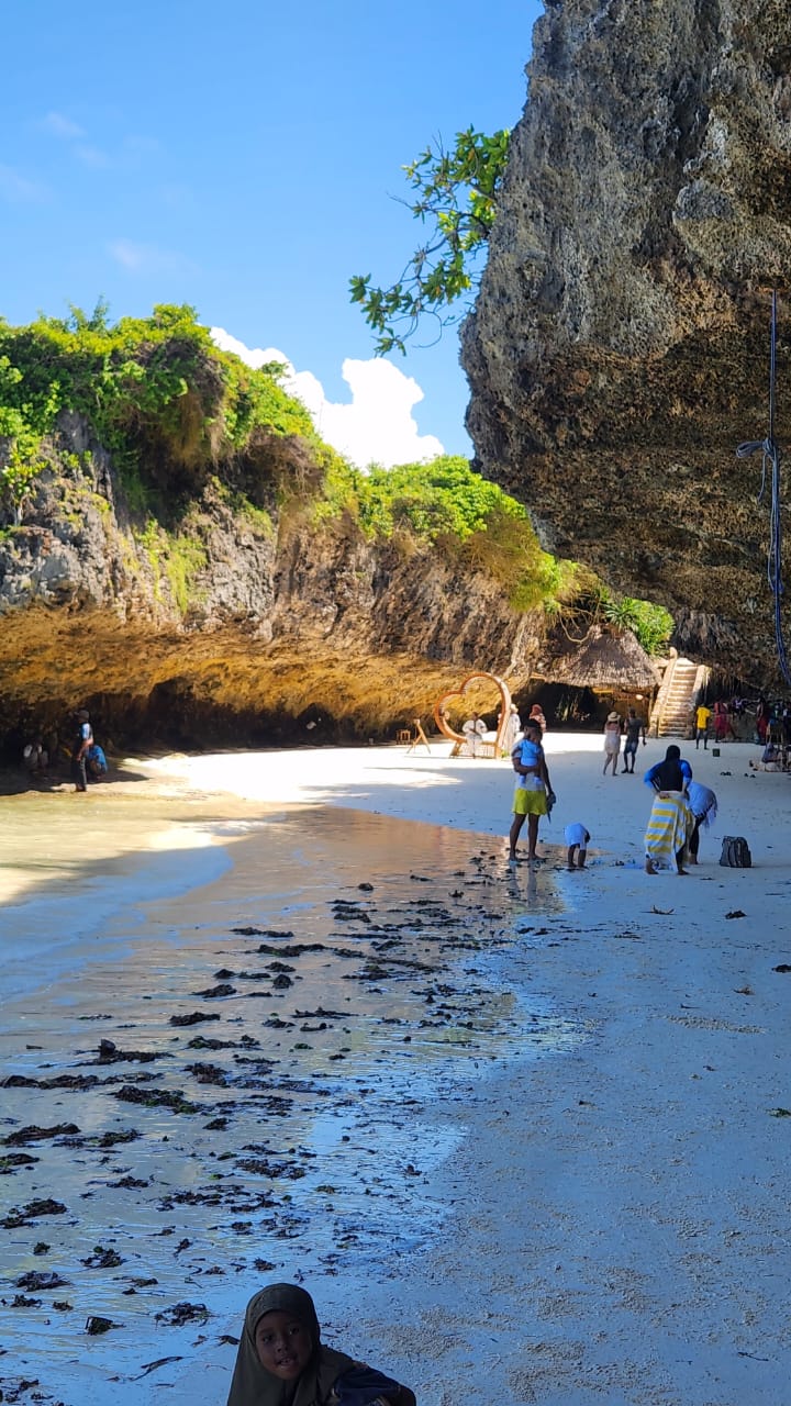 Beach Paradise