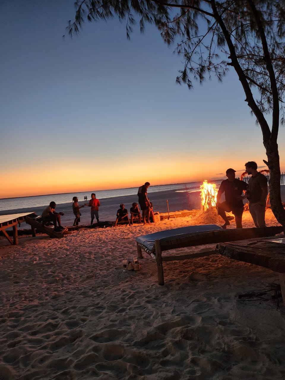 Safari Sunset